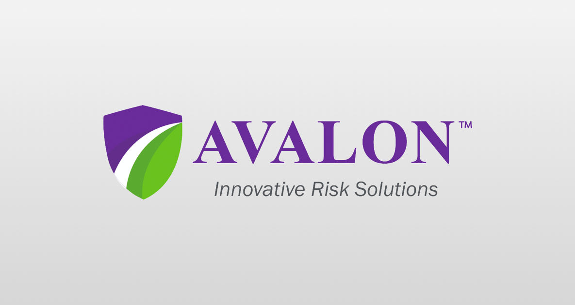 Avalon President Selected for Second Term as Member of Commercial Operations to the U.S. Customs and Border Protection (COAC)